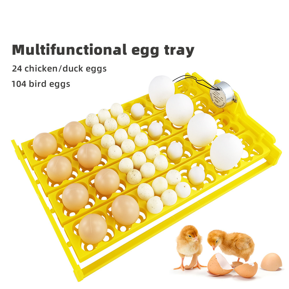Quail Egg Incubator - 24 個卵インキュベータートレイ自動卵ターナー回転トレイ自動卵インキュベータートレイインキュベーションアクセサリーツール 110V 220V