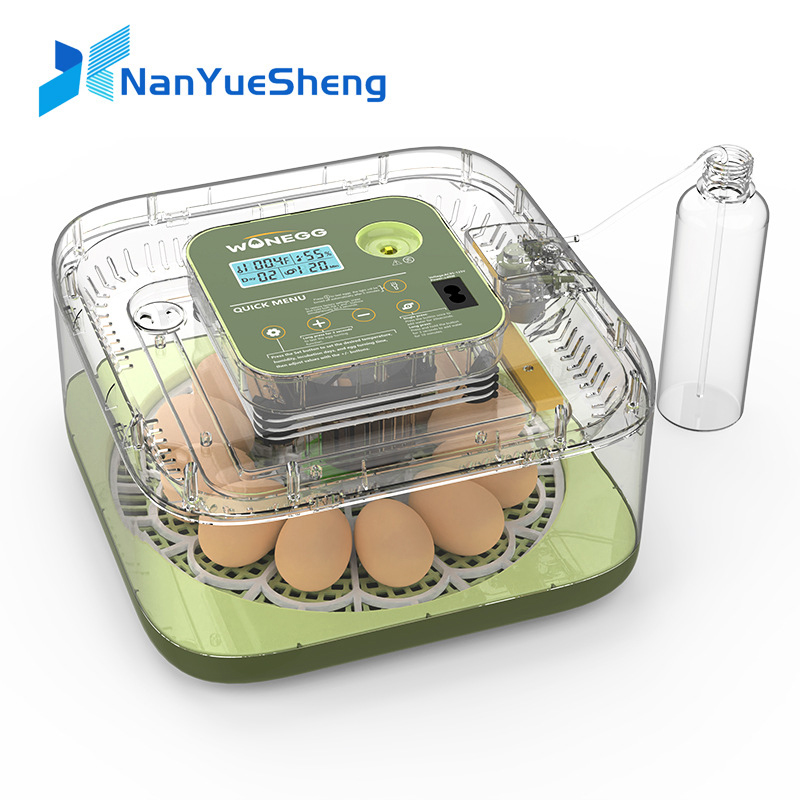 Quail Egg Incubator - 新型12個のひよこ卵孵化器、鶏、ウズラの卵用全自動孵卵器