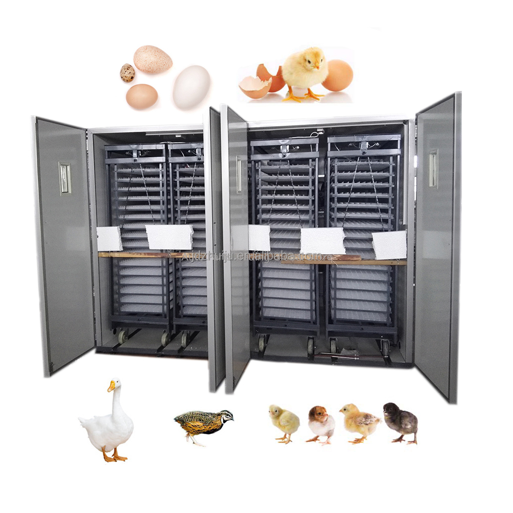 20000個の卵に対応する大型鶏卵孵卵器、ウズラ農場/工業用 - Quail Egg Incubator のレビューと価格