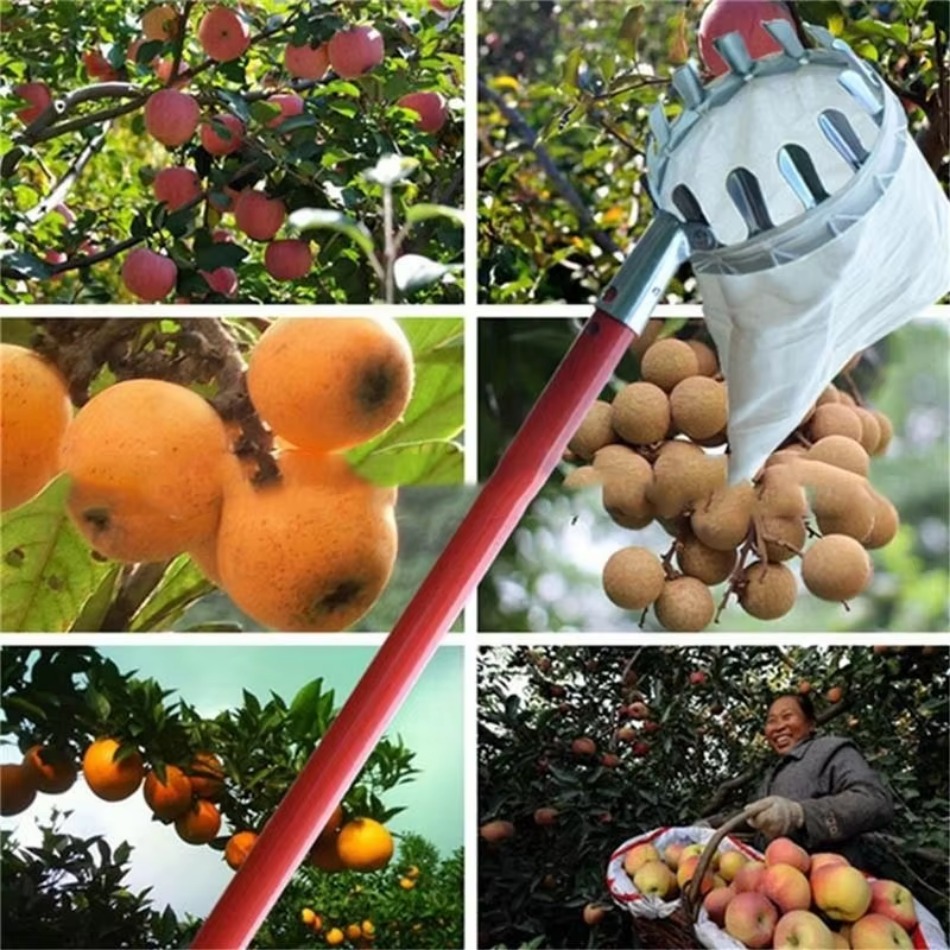 多目的伸縮式亜鉛メッキ鉄フルーツピッカー庭摘み用高高度フルー - Agriculture Farming Tool のレビューと価格