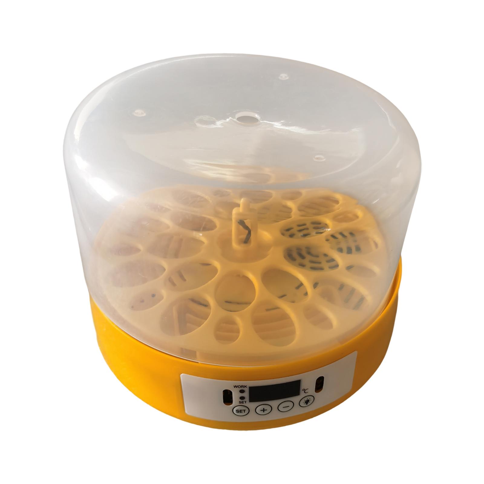 鳥類用孵卵器、自動転卵機能付き、温度調節機能付き - Quail Egg Incubator のレビューと価格