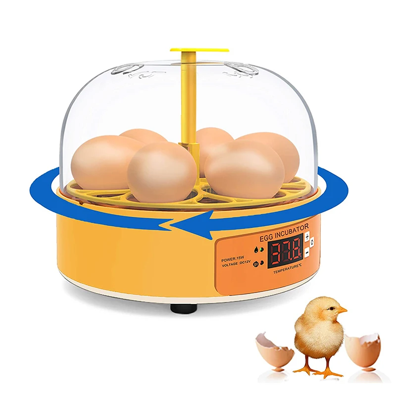 鶏・アヒル・ガチョウ用孵卵器 6卵 自動転卵式 ミニ家庭用自 - Quail Egg Incubator のレビューと価格