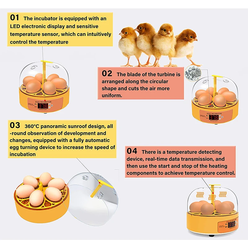鶏・アヒル・ガチョウ用孵卵器 6卵 自動転卵式 ミニ家庭用自 - Quail Egg Incubator のレビューと価格