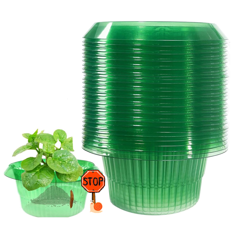 5-25 個植物ナメクジ保護リンググリーンプランターフラワー - Vegetable Transplanter のレビューと価格