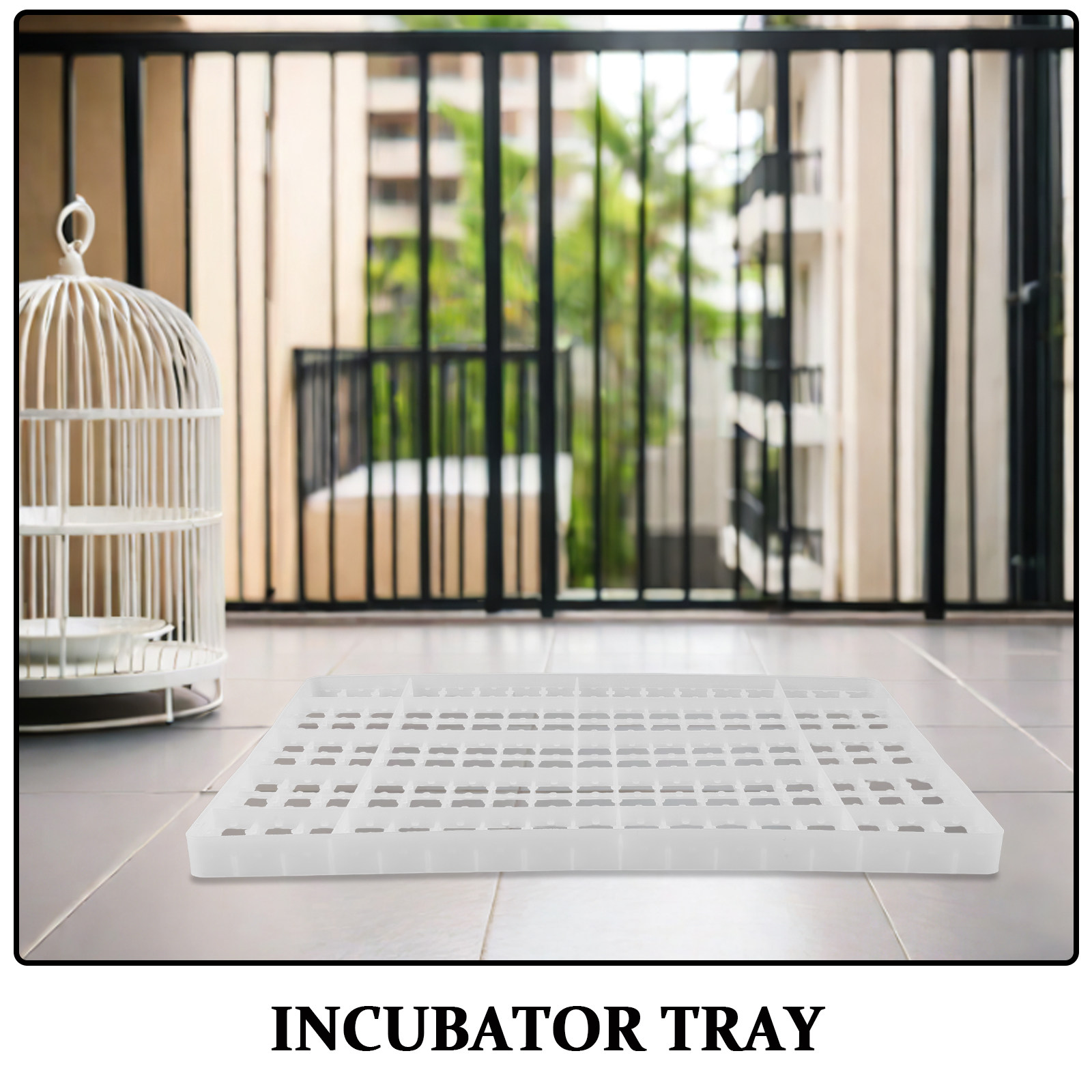 2個入り卵孵化器トレイグリッド鶏卵孵化器トレイウズラの卵回転 - Quail Egg Incubator のレビューと価格