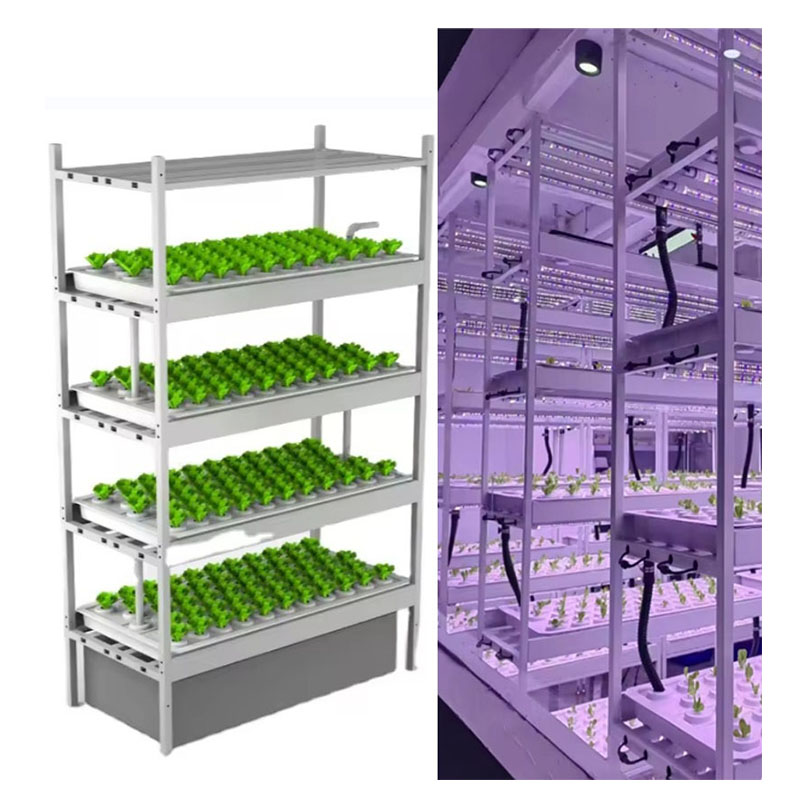 温室農業機器、きのこ、野菜、果物の栽培、垂直農場、水耕栽培タ - Agriculture Farming System のレビューと価格