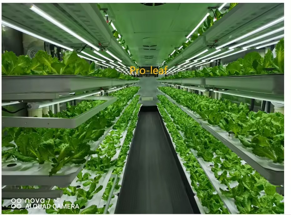 温室農業機器、きのこ、野菜、果物の栽培、垂直農場、水耕栽培タ - Agriculture Farming System のレビューと価格