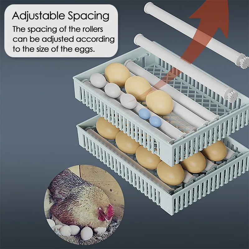 24 卵インキュベーター全自動回転孵化育雛農場鳥ウズラ鶏養鶏 - Quail Egg Incubator のレビューと価格