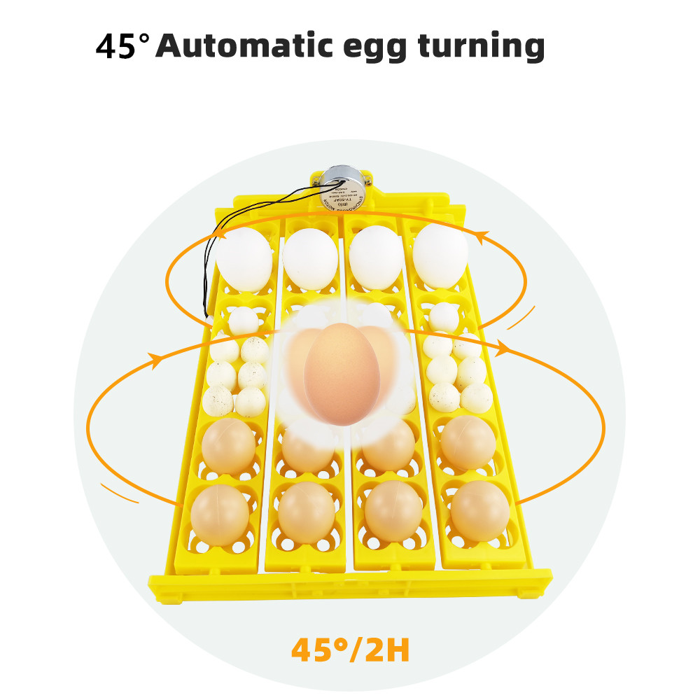 24 個卵インキュベータートレイ自動卵ターナー回転トレイ自動 - Quail Egg Incubator のレビューと価格