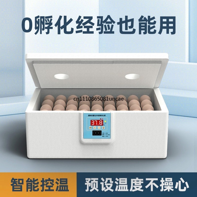家庭用水槽式卵インキュベーター、鶏、アヒル、ウズラ、家禽の卵 - Quail Egg Incubator のレビューと価格