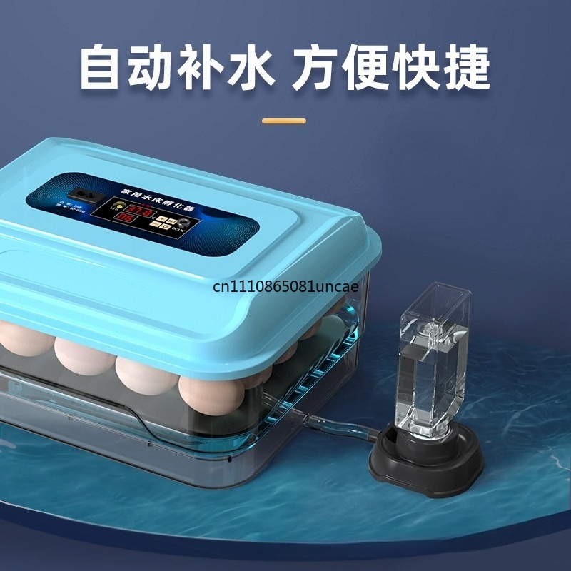 家庭用水槽式卵インキュベーター、鶏、アヒル、ウズラ、家禽の卵 - Quail Egg Incubator のレビューと価格