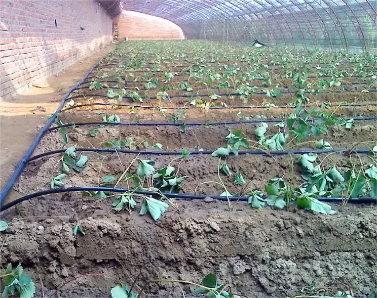 1HA灌漑キット農業用具2000m 16*0.2*50cm  - Agriculture Farming System のレビューと価格