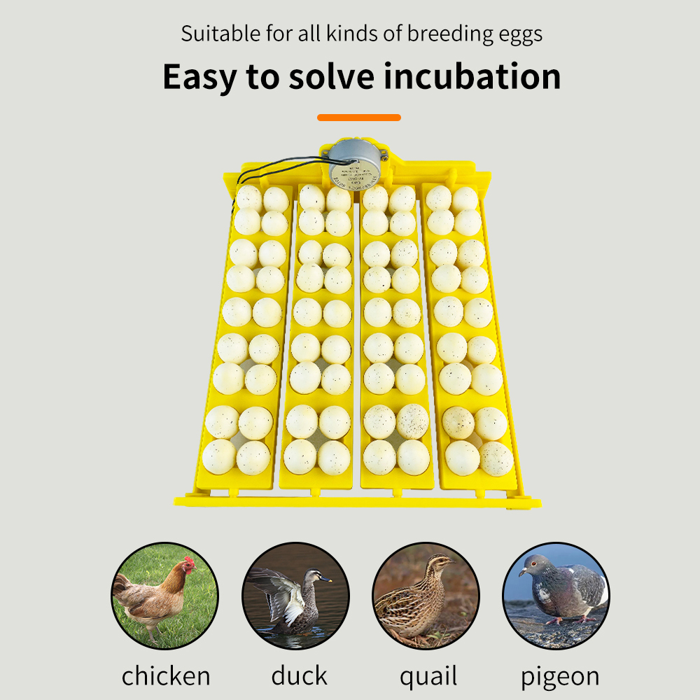 自動ターン卵インキュベーター,45 ° ターントレイ,自動タ - Quail Egg Incubator のレビューと価格