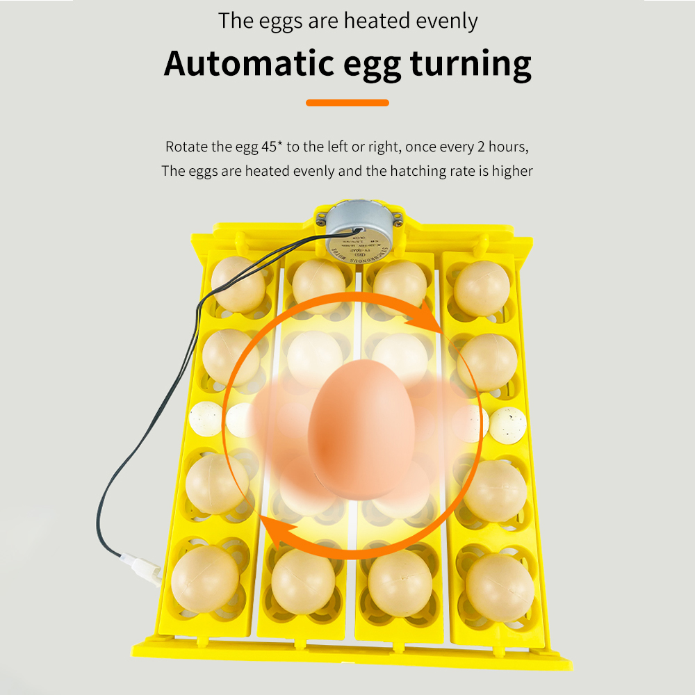 自動ターン卵インキュベーター,45 ° ターントレイ,自動タ - Quail Egg Incubator のレビューと価格