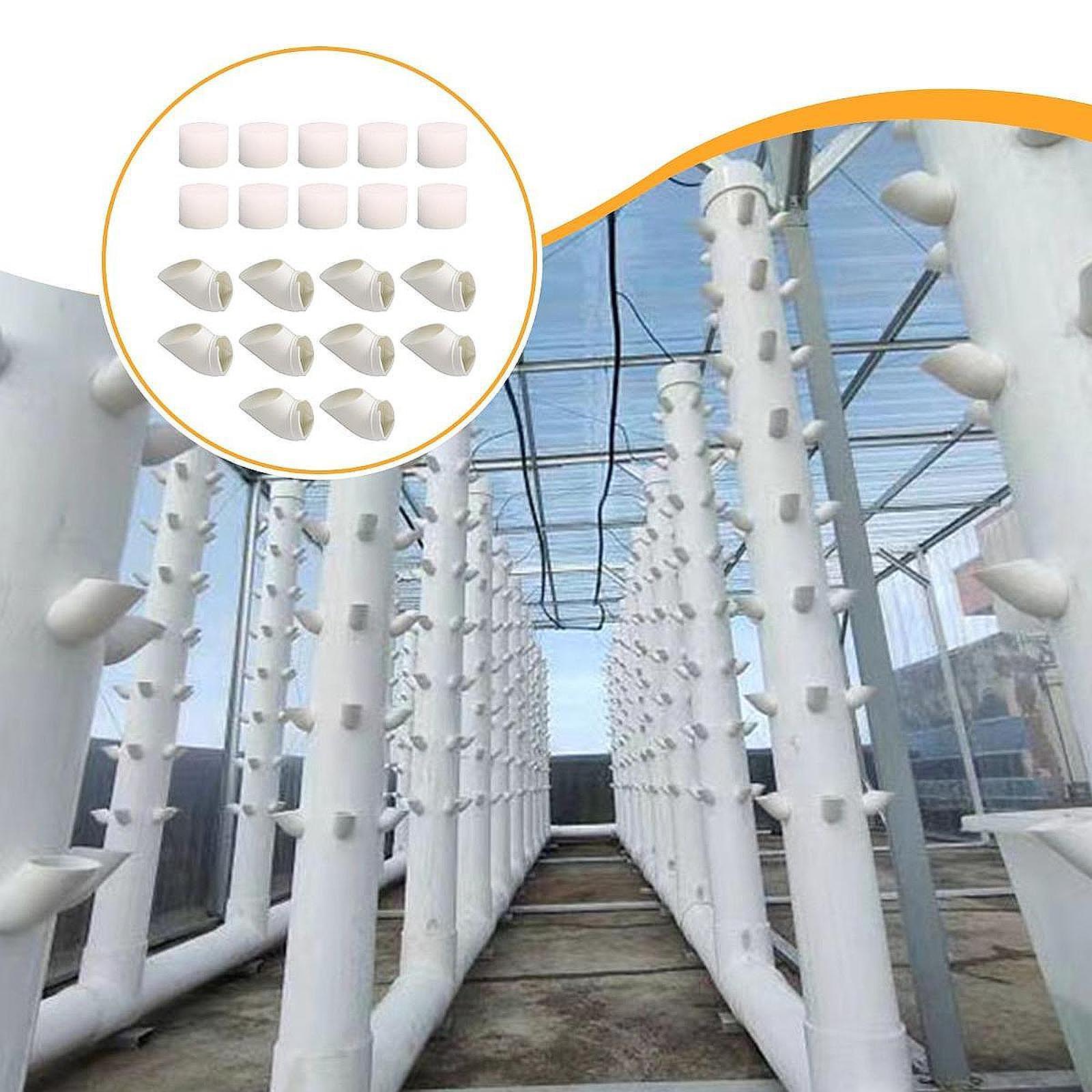10個入り、スポンジ付きの水耕栽培用プランター。野菜の栽培に - Vegetable Transplanter のレビューと価格