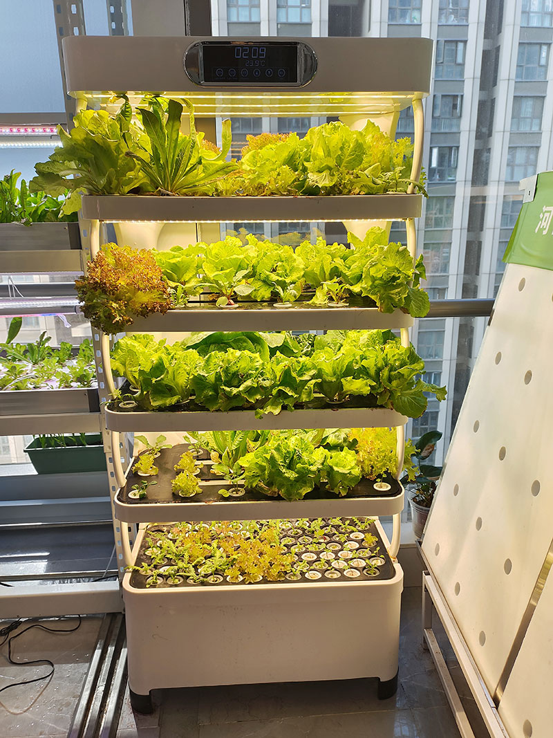 野菜、レタス、イチゴを栽培するための農業機械、垂直栽培システ - Agriculture Farming System のレビューと価格
