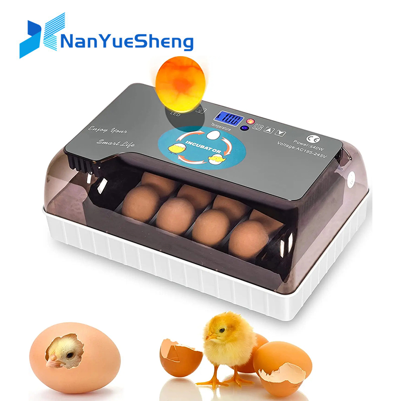 自動 HHD 最高のデジタル 12 鶏卵孵化場機育雛卵インキ - Quail Egg Incubator のレビューと価格