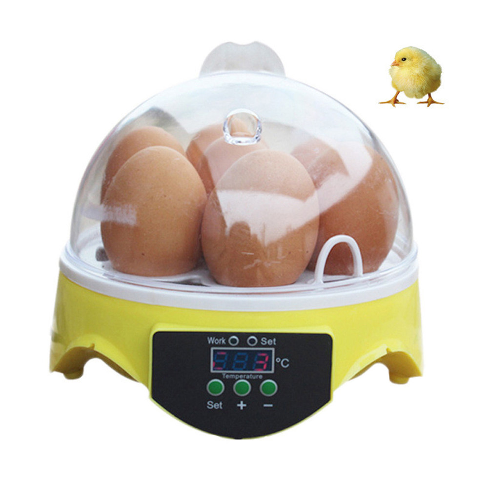 7個の卵を同時に孵化できる、半自動式の温度制御機能付き孵卵器 - Quail Egg Incubator のレビューと価格