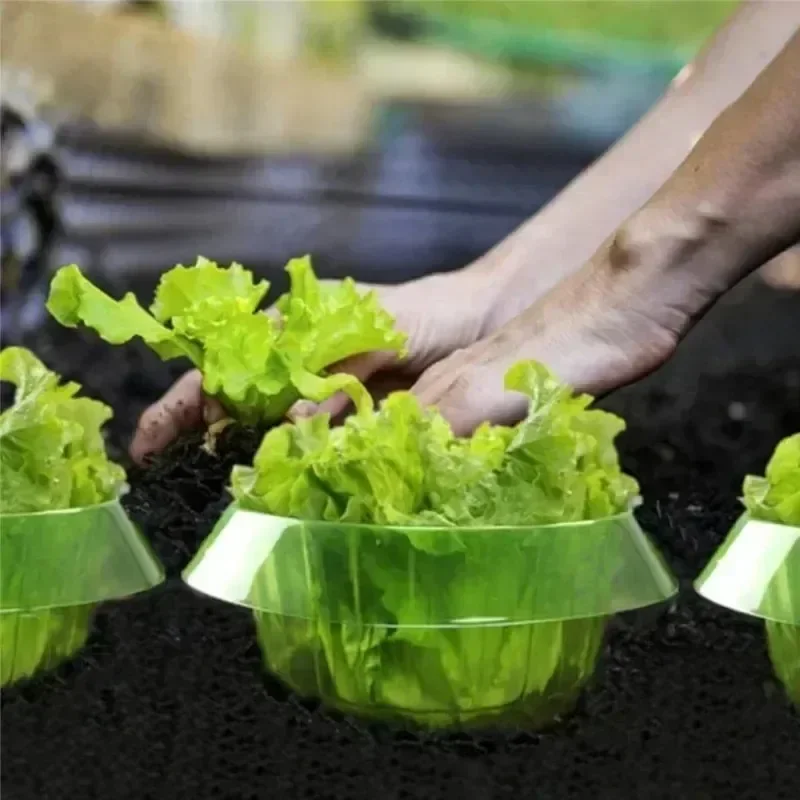 植物ナメクジ保護リング野菜カバー植物カタツムリ首輪ガードグリ - Vegetable Transplanter のレビューと価格