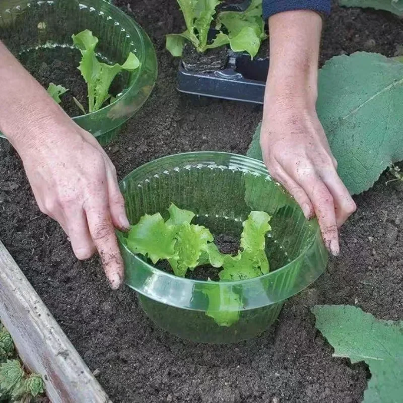 植物ナメクジ保護リング野菜カバー植物カタツムリ首輪ガードグリ - Vegetable Transplanter のレビューと価格
