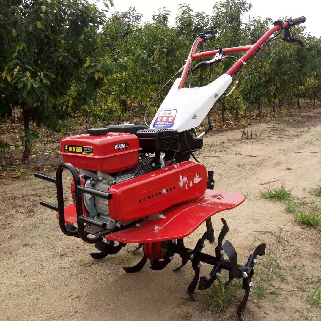 高生産性で長寿命のオールギア式マイクロ耕運機、丘陵地や果樹園 - Farming Agriculture Jobs のレビューと価格