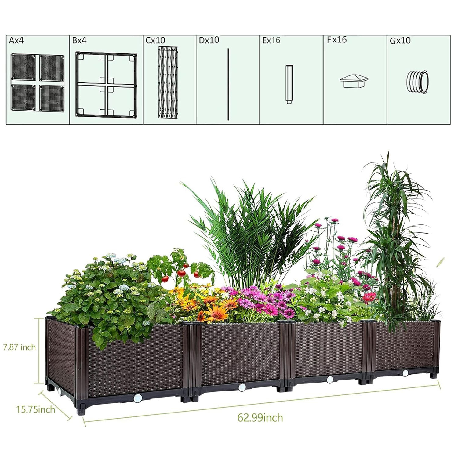 自動給水式の高床式菜園 – 長さ160cmの大型プラスチック - Vegetable Transplanter のレビューと価格