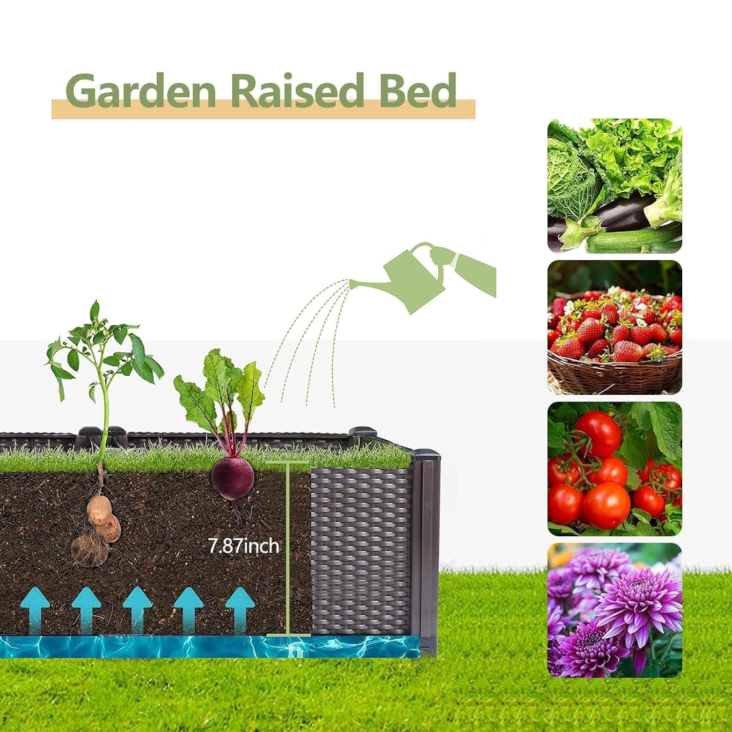 自動給水式の高床式菜園 – 長さ160cmの大型プラスチック - Vegetable Transplanter のレビューと価格