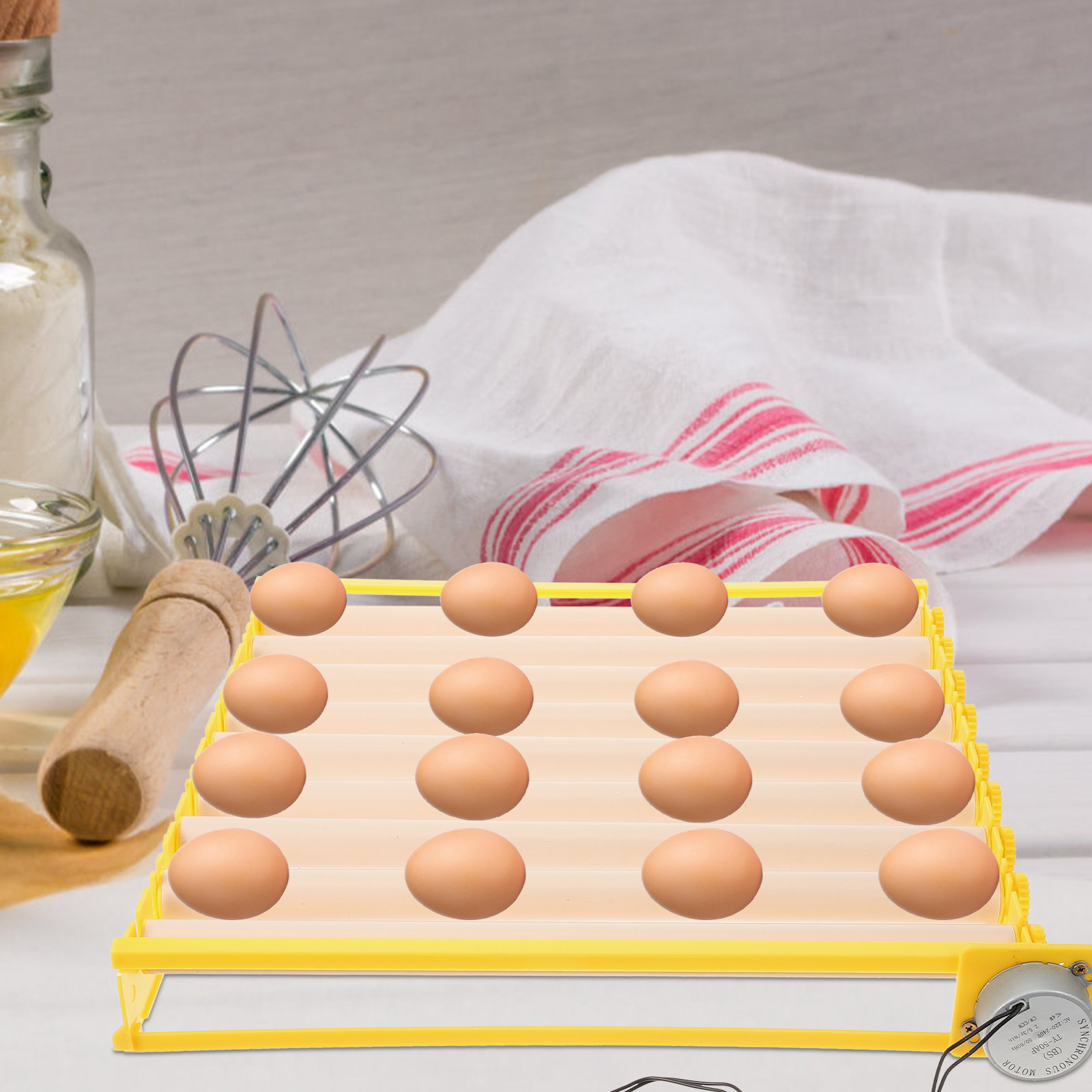 鶏、アヒル、ガチョウ、ウズラの卵用自動卵トレイ。家庭用孵卵器 - Quail Egg Incubator のレビューと価格